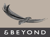 &Beyond Logo